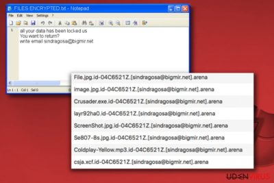 Arena ransomware note FILES ENCRYPTED.txt