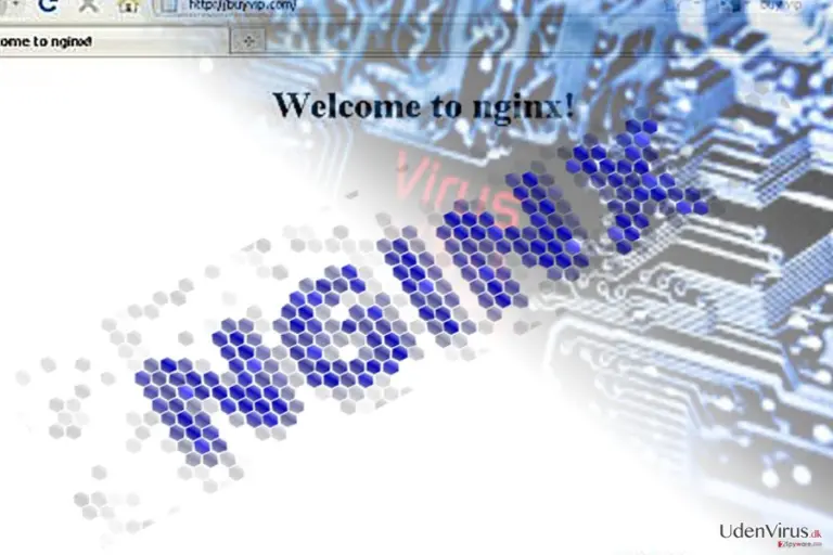 The picture illustrating Nginx malware