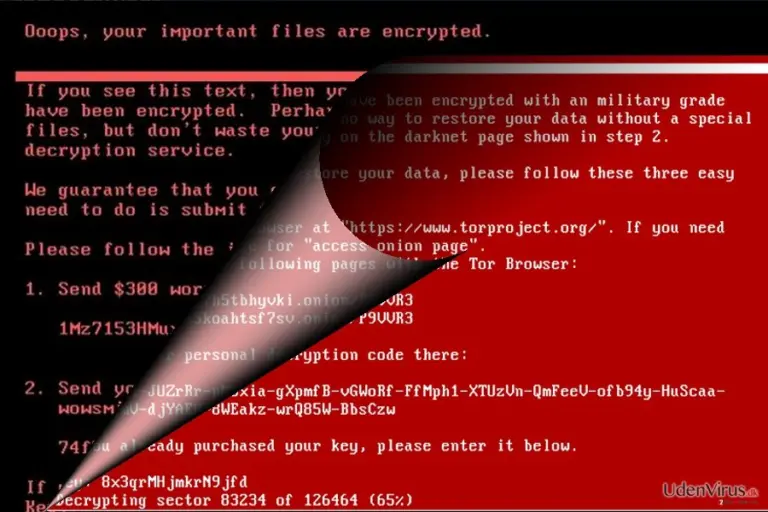 The image illustrating NotPetya virus