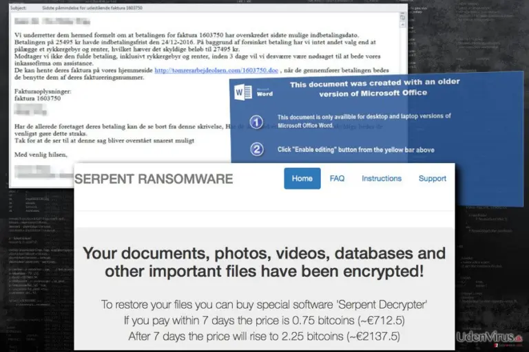 Billede af Serpent ransomware virus